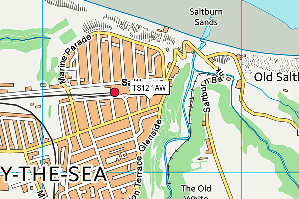 TS12 1AW map - OS VectorMap District (Ordnance Survey) TS12 1AW map - OS VectorMap District (Ordnance Survey)