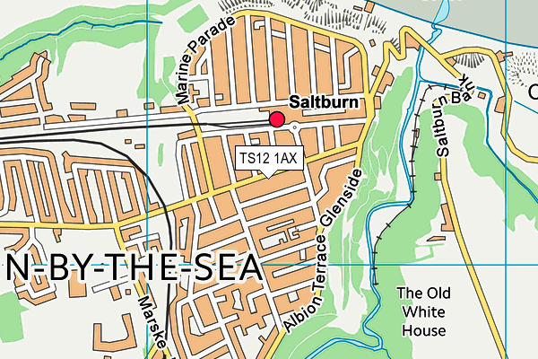 TS12 1AX map - OS VectorMap District (Ordnance Survey) TS12 1AX map - OS VectorMap District (Ordnance Survey)