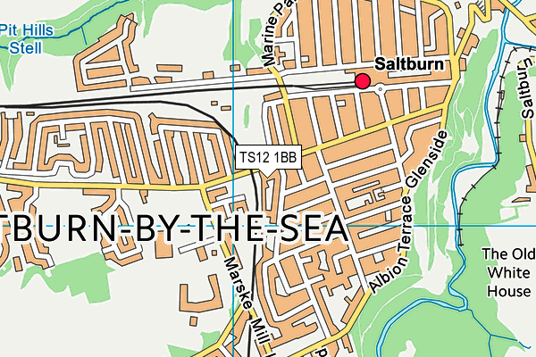 TS12 1BB map - OS VectorMap District (Ordnance Survey) TS12 1BB map - OS VectorMap District (Ordnance Survey)