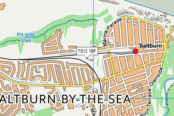 TS12 1BF map - OS VectorMap District (Ordnance Survey) TS12 1BF map - OS VectorMap District (Ordnance Survey)