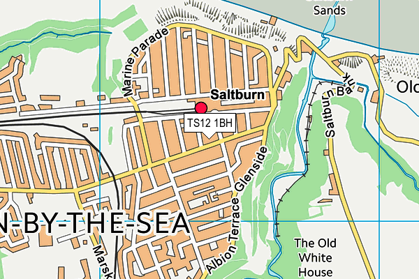 TS12 1BH map - OS VectorMap District (Ordnance Survey) TS12 1BH map - OS VectorMap District (Ordnance Survey)