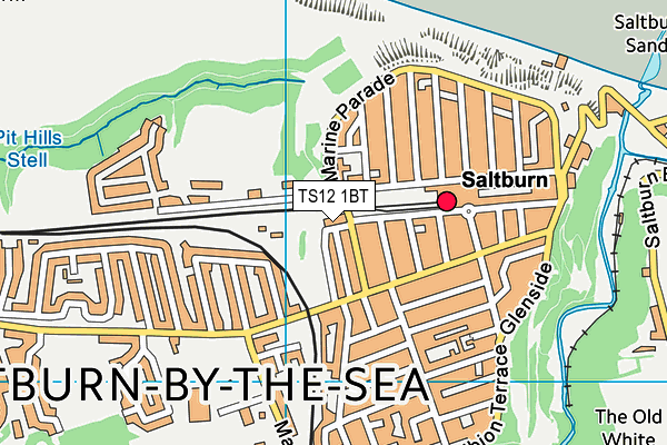 TS12 1BT map - OS VectorMap District (Ordnance Survey) TS12 1BT map - OS VectorMap District (Ordnance Survey)