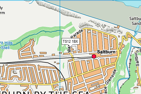 TS12 1BX map - OS VectorMap District (Ordnance Survey) TS12 1BX map - OS VectorMap District (Ordnance Survey)