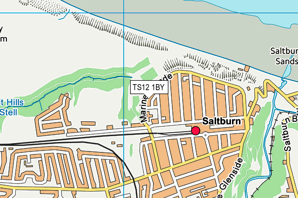 TS12 1BY map - OS VectorMap District (Ordnance Survey) TS12 1BY map - OS VectorMap District (Ordnance Survey)