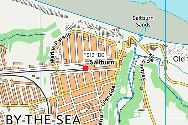 TS12 1DG map - OS VectorMap District (Ordnance Survey) TS12 1DG map - OS VectorMap District (Ordnance Survey)