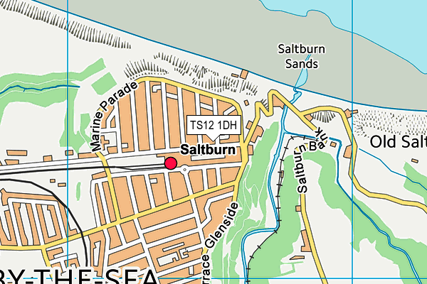 TS12 1DH map - OS VectorMap District (Ordnance Survey) TS12 1DH map - OS VectorMap District (Ordnance Survey)