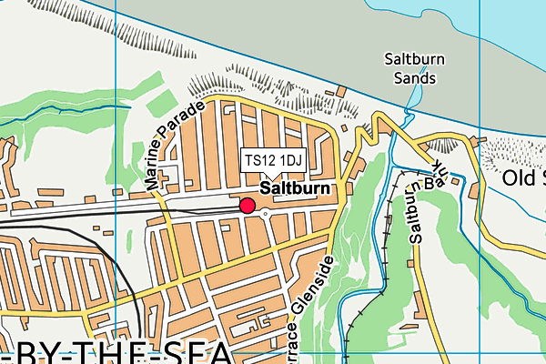 TS12 1DJ map - OS VectorMap District (Ordnance Survey) TS12 1DJ map - OS VectorMap District (Ordnance Survey)