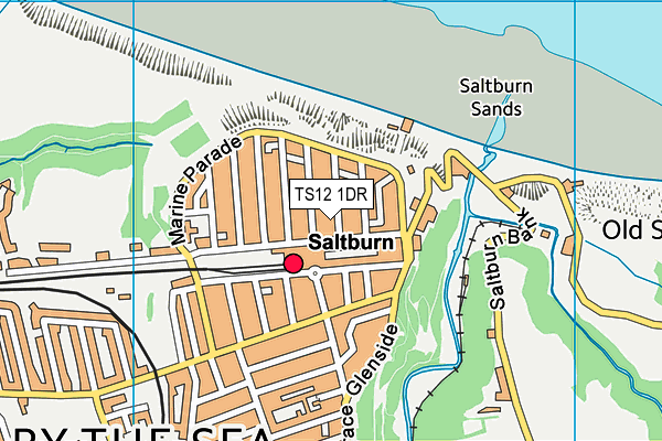 TS12 1DR map - OS VectorMap District (Ordnance Survey) TS12 1DR map - OS VectorMap District (Ordnance Survey)