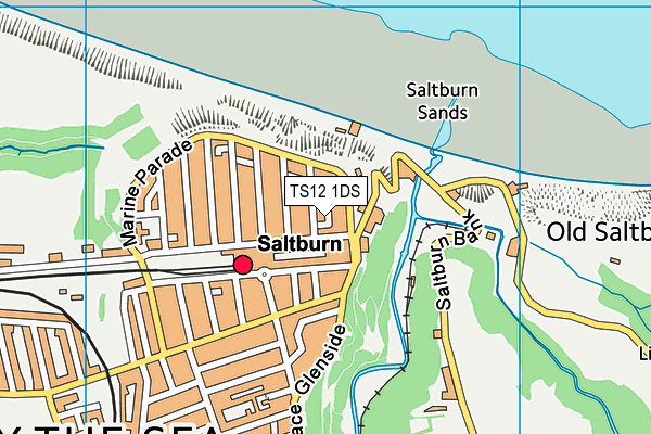 TS12 1DS map - OS VectorMap District (Ordnance Survey) TS12 1DS map - OS VectorMap District (Ordnance Survey)