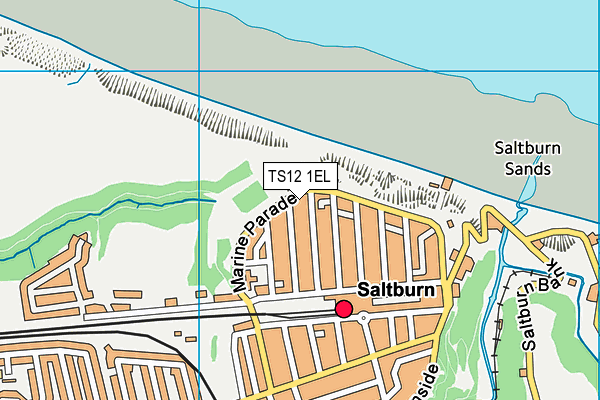 TS12 1EL map - OS VectorMap District (Ordnance Survey) TS12 1EL map - OS VectorMap District (Ordnance Survey)