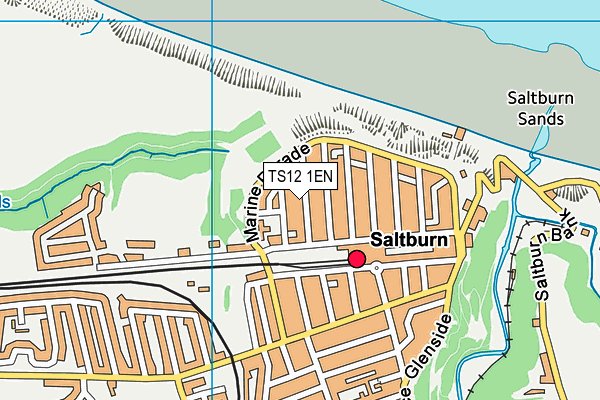 TS12 1EN map - OS VectorMap District (Ordnance Survey) TS12 1EN map - OS VectorMap District (Ordnance Survey)