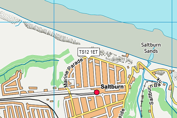 TS12 1ET map - OS VectorMap District (Ordnance Survey) TS12 1ET map - OS VectorMap District (Ordnance Survey)