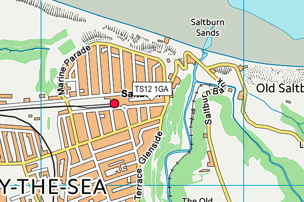 TS12 1GA map - OS VectorMap District (Ordnance Survey) TS12 1GA map - OS VectorMap District (Ordnance Survey)