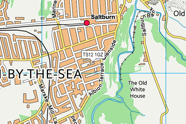 TS12 1GZ map - OS VectorMap District (Ordnance Survey) TS12 1GZ map - OS VectorMap District (Ordnance Survey)
