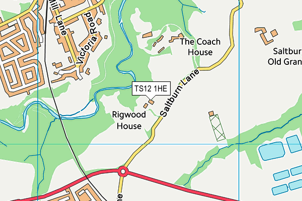TS12 1HE map - OS VectorMap District (Ordnance Survey) TS12 1HE map - OS VectorMap District (Ordnance Survey)