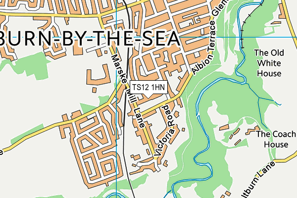 TS12 1HN map - OS VectorMap District (Ordnance Survey) TS12 1HN map - OS VectorMap District (Ordnance Survey)