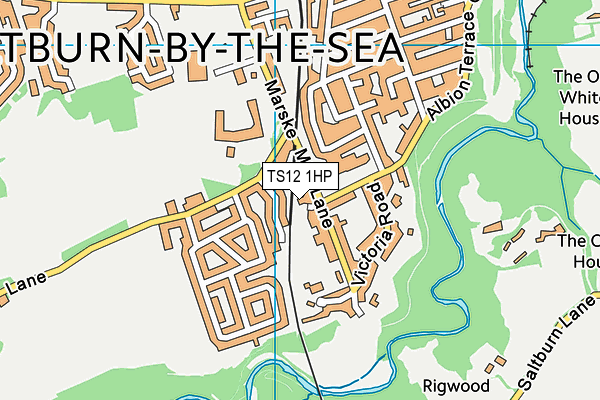 TS12 1HP map - OS VectorMap District (Ordnance Survey) TS12 1HP map - OS VectorMap District (Ordnance Survey)