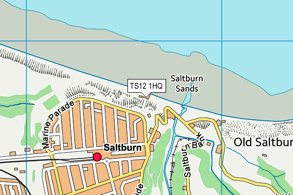 TS12 1HQ map - OS VectorMap District (Ordnance Survey) TS12 1HQ map - OS VectorMap District (Ordnance Survey)