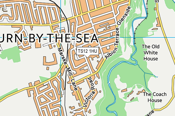 TS12 1HU map - OS VectorMap District (Ordnance Survey) TS12 1HU map - OS VectorMap District (Ordnance Survey)