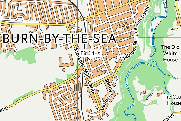 TS12 1HX map - OS VectorMap District (Ordnance Survey) TS12 1HX map - OS VectorMap District (Ordnance Survey)