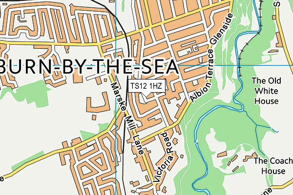 TS12 1HZ map - OS VectorMap District (Ordnance Survey) TS12 1HZ map - OS VectorMap District (Ordnance Survey)