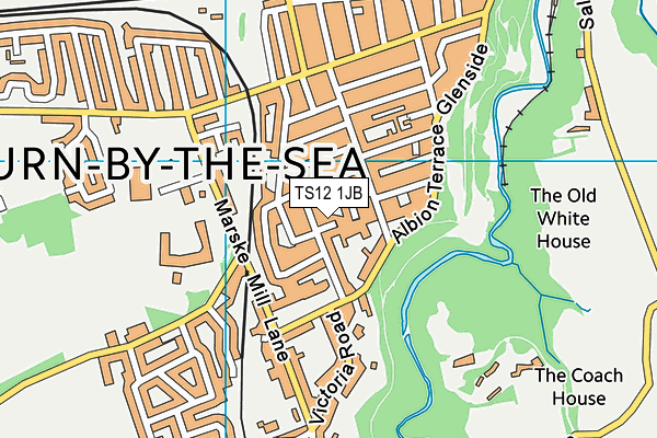 TS12 1JB map - OS VectorMap District (Ordnance Survey) TS12 1JB map - OS VectorMap District (Ordnance Survey)