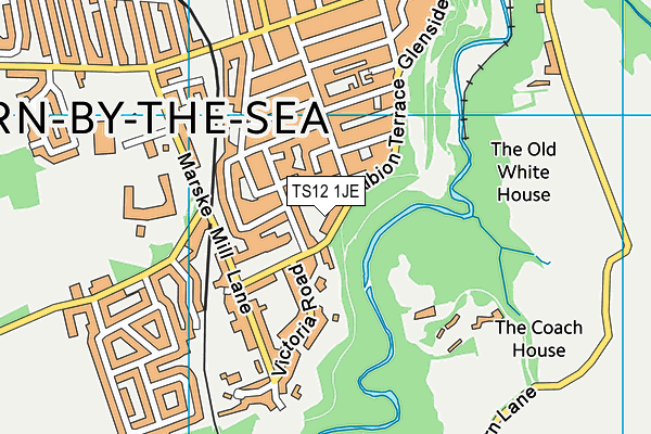 TS12 1JE map - OS VectorMap District (Ordnance Survey)