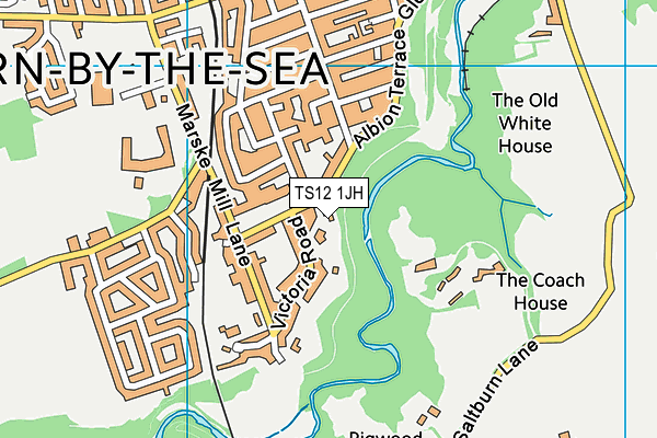 TS12 1JH map - OS VectorMap District (Ordnance Survey) TS12 1JH map - OS VectorMap District (Ordnance Survey)