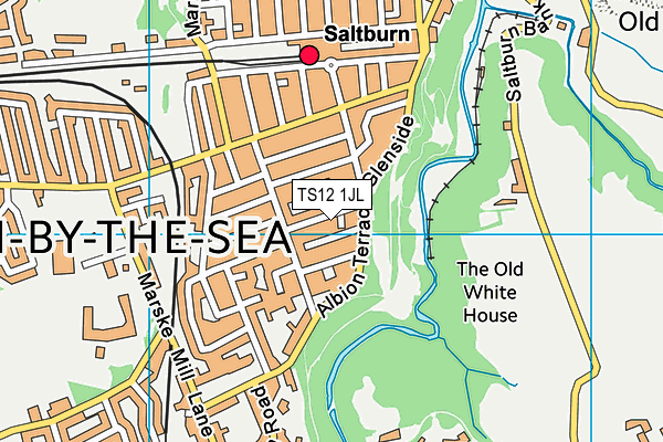 TS12 1JL map - OS VectorMap District (Ordnance Survey) TS12 1JL map - OS VectorMap District (Ordnance Survey)