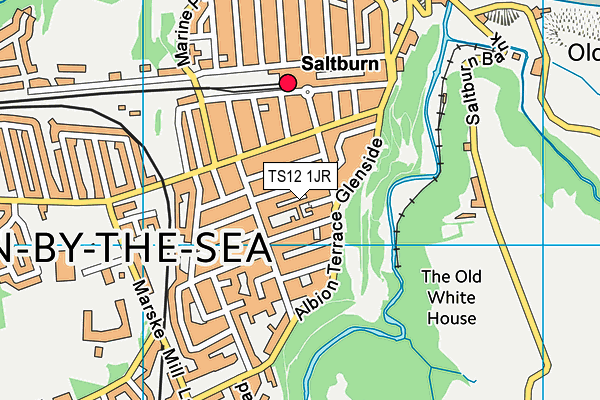 TS12 1JR map - OS VectorMap District (Ordnance Survey) TS12 1JR map - OS VectorMap District (Ordnance Survey)