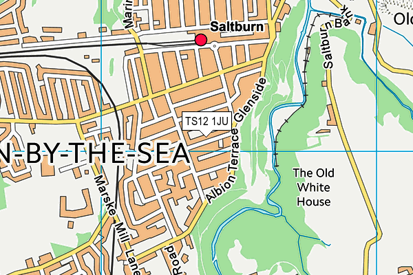 TS12 1JU map - OS VectorMap District (Ordnance Survey)