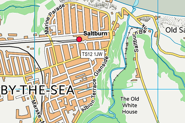 TS12 1JW map - OS VectorMap District (Ordnance Survey) TS12 1JW map - OS VectorMap District (Ordnance Survey)