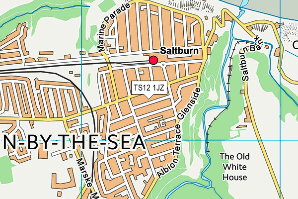 TS12 1JZ map - OS VectorMap District (Ordnance Survey) TS12 1JZ map - OS VectorMap District (Ordnance Survey)
