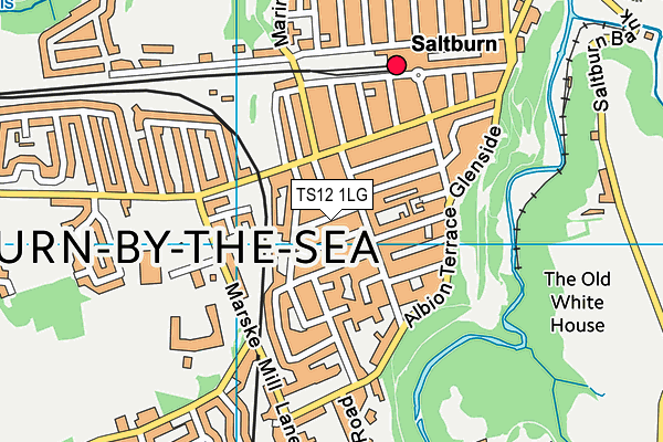TS12 1LG map - OS VectorMap District (Ordnance Survey) TS12 1LG map - OS VectorMap District (Ordnance Survey)