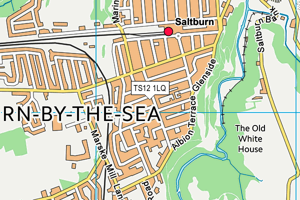 TS12 1LQ map - OS VectorMap District (Ordnance Survey) TS12 1LQ map - OS VectorMap District (Ordnance Survey)