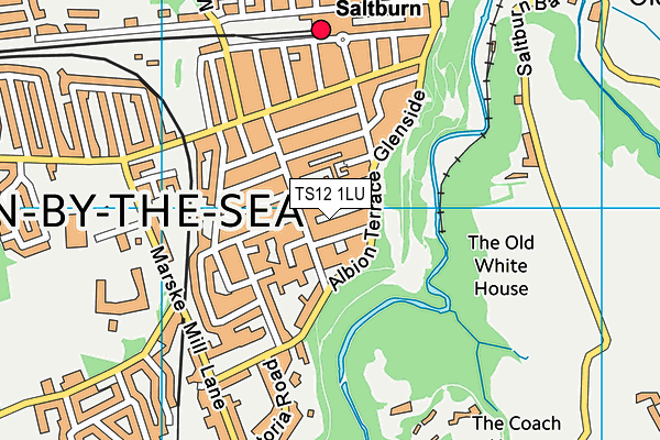 TS12 1LU map - OS VectorMap District (Ordnance Survey) TS12 1LU map - OS VectorMap District (Ordnance Survey)