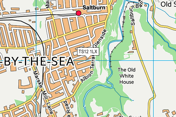 TS12 1LX map - OS VectorMap District (Ordnance Survey) TS12 1LX map - OS VectorMap District (Ordnance Survey)