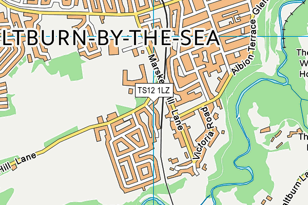 TS12 1LZ map - OS VectorMap District (Ordnance Survey)
