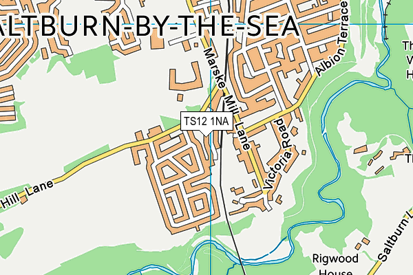 TS12 1NA map - OS VectorMap District (Ordnance Survey) TS12 1NA map - OS VectorMap District (Ordnance Survey)