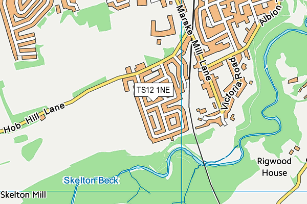 TS12 1NE map - OS VectorMap District (Ordnance Survey) TS12 1NE map - OS VectorMap District (Ordnance Survey)
