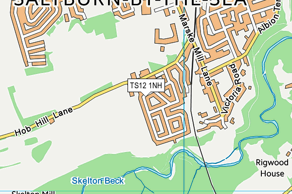 TS12 1NH map - OS VectorMap District (Ordnance Survey) TS12 1NH map - OS VectorMap District (Ordnance Survey)
