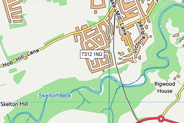 TS12 1NQ map - OS VectorMap District (Ordnance Survey) TS12 1NQ map - OS VectorMap District (Ordnance Survey)
