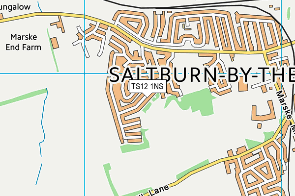 TS12 1NS map - OS VectorMap District (Ordnance Survey) TS12 1NS map - OS VectorMap District (Ordnance Survey)