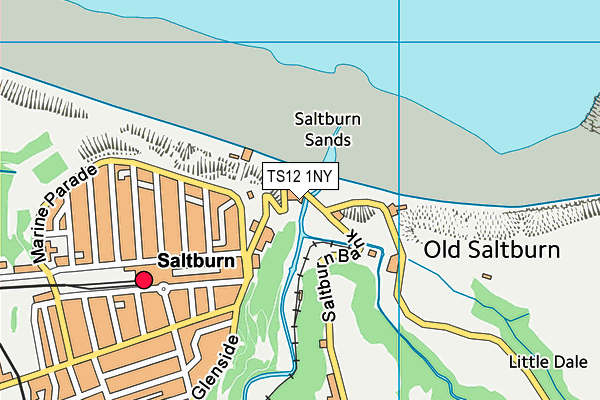 TS12 1NY map - OS VectorMap District (Ordnance Survey) TS12 1NY map - OS VectorMap District (Ordnance Survey)