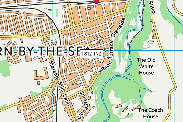 TS12 1NZ map - OS VectorMap District (Ordnance Survey) TS12 1NZ map - OS VectorMap District (Ordnance Survey)