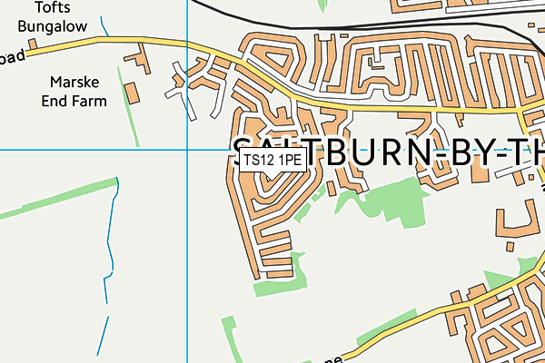 TS12 1PE map - OS VectorMap District (Ordnance Survey) TS12 1PE map - OS VectorMap District (Ordnance Survey)
