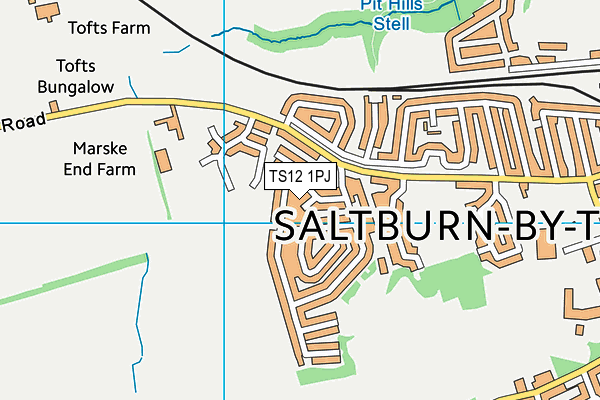 TS12 1PJ map - OS VectorMap District (Ordnance Survey) TS12 1PJ map - OS VectorMap District (Ordnance Survey)