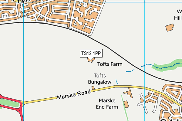 TS12 1PP map - OS VectorMap District (Ordnance Survey) TS12 1PP map - OS VectorMap District (Ordnance Survey)
