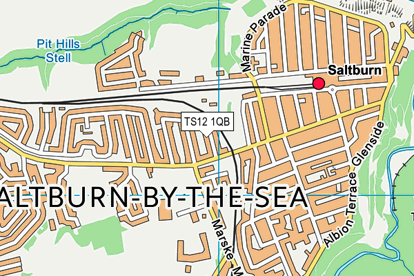 TS12 1QB map - OS VectorMap District (Ordnance Survey) TS12 1QB map - OS VectorMap District (Ordnance Survey)