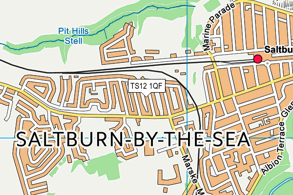 TS12 1QF map - OS VectorMap District (Ordnance Survey) TS12 1QF map - OS VectorMap District (Ordnance Survey)